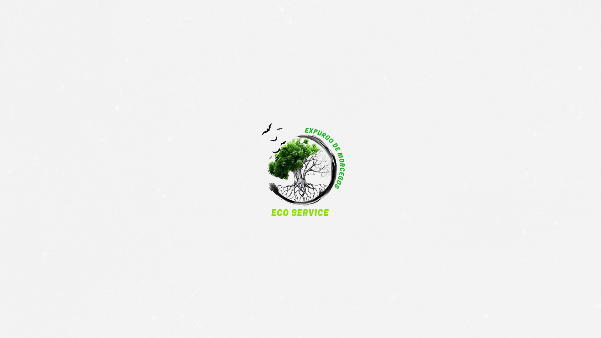 Eco Service Sul